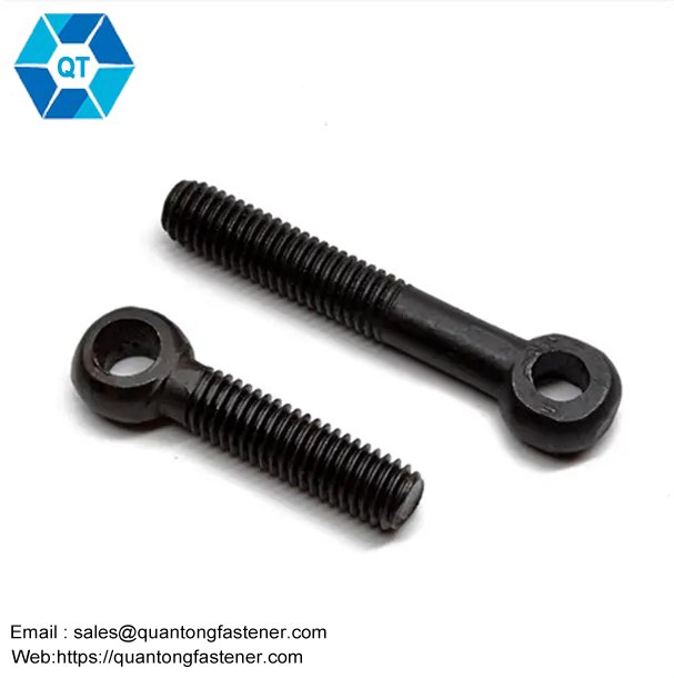 Carbon Eye Bolt DIN 444 - Image 5