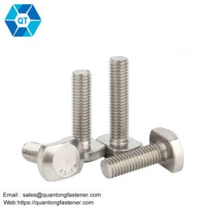 Stainless Steel A2 70 A4 80 T-Head Bolt T Blots