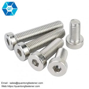 Stainless Steel SS304 SS316 SS201 SS316L Hexagon Socket Low Thin Head Cap DIN7984 Allen Bolt Hex Allen Key Bolt