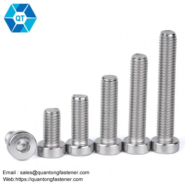 Stainless Steel SS304 SS316 SS201 SS316L Hexagon Socket Low Thin Head Cap DIN7984 Allen Bolt Hex Allen Key Bolt - 画像 (4)