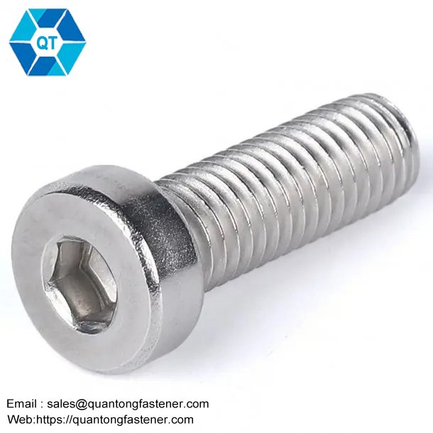 Stainless Steel SS304 SS316 SS201 SS316L Hexagon Socket Low Thin Head Cap DIN7984 Allen Bolt Hex Allen Key Bolt - 画像 (5)