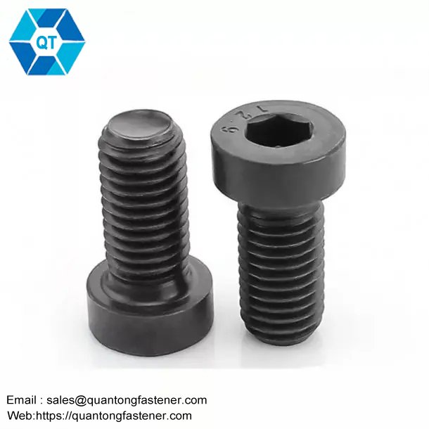 Din 7984 hex socket thin head cap bolt - Image 4