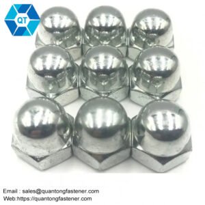 Nickel Galvanized White Blue Zinc Plated DIN1587 Hex Domed Cap Nuts
