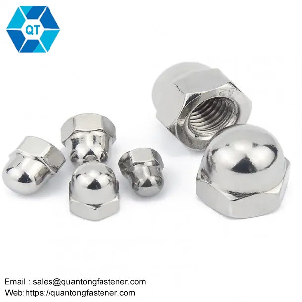 Stainless Steel SS201 SS304 SS316 DIN1587 Hex Domed Cap Nuts - Image 2