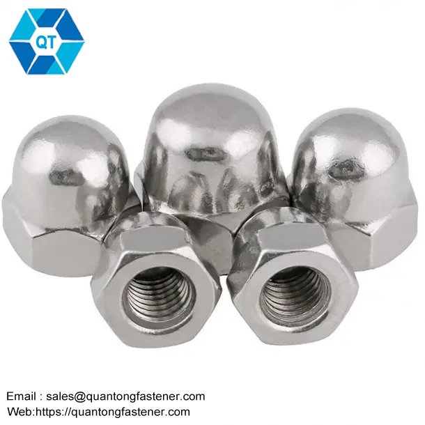 Stainless Steel SS201 SS304 SS316 DIN1587 Hex Domed Cap Nuts - Image 6