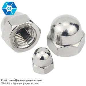 Stainless Steel SS201 SS304 SS316 DIN1587 Hex Domed Cap Nuts
