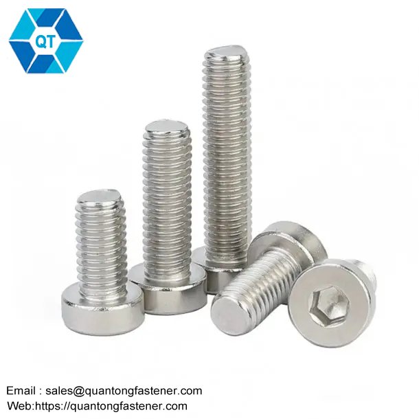 Stainless Steel SS304 SS316 SS201 SS316L Hexagon Socket Low Thin Head Cap DIN7984 Allen Bolt Hex Allen Key Bolt - 画像 (2)