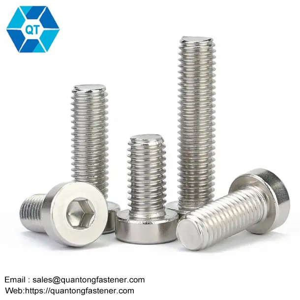 Stainless Steel SS304 SS316 SS201 SS316L Hexagon Socket Low Thin Head Cap DIN7984 Allen Bolt Hex Allen Key Bolt - 画像 (3)